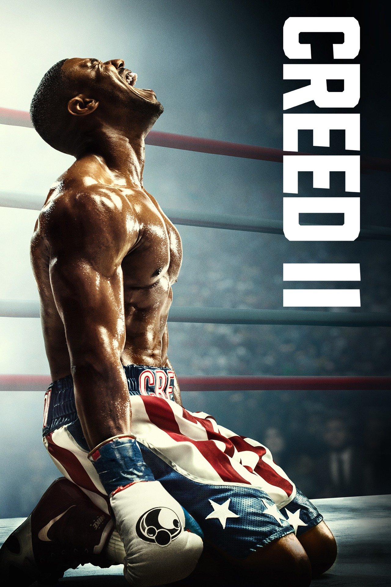 Poster for Creed II