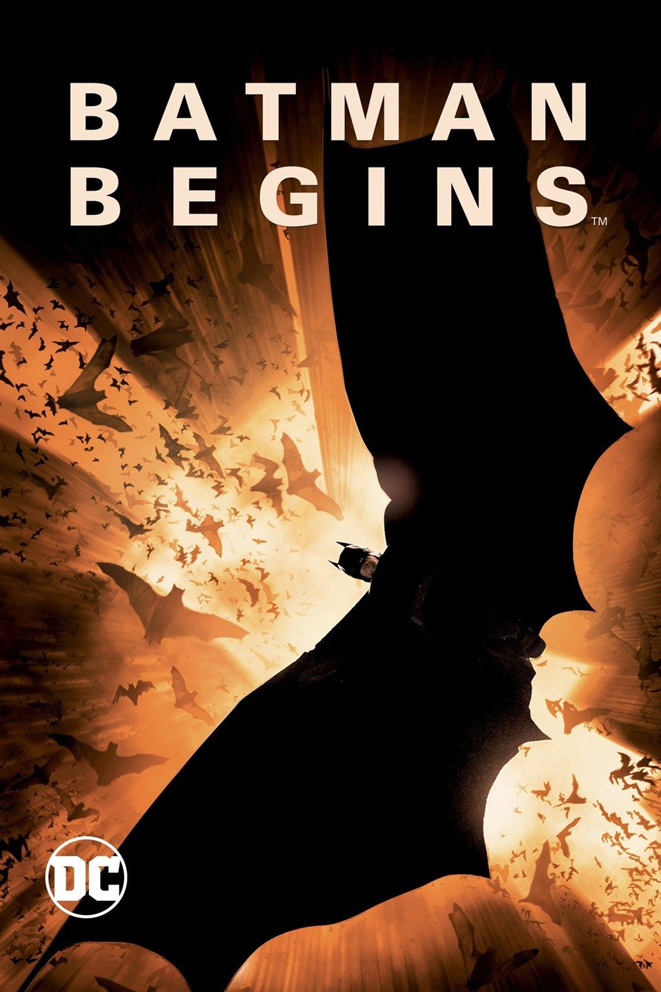 Poster for Batman Begins