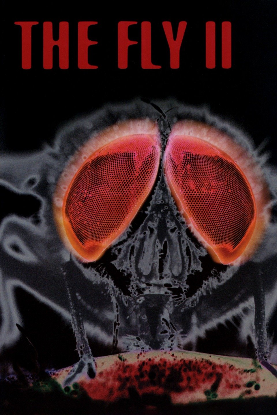 Poster for The Fly II