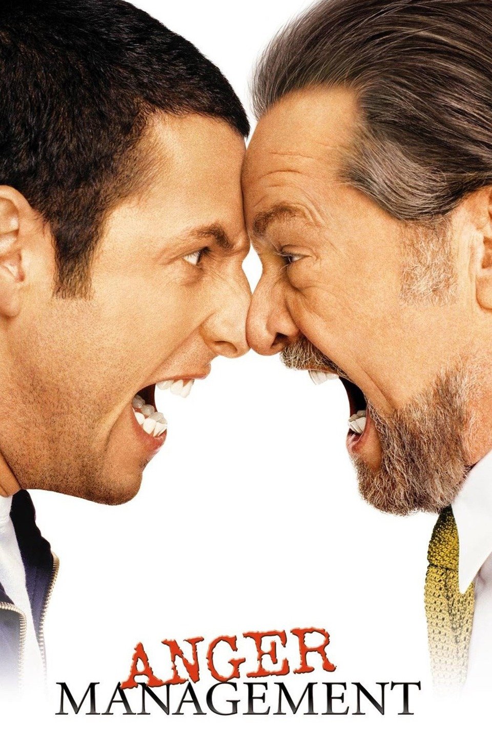Poster for Anger Management